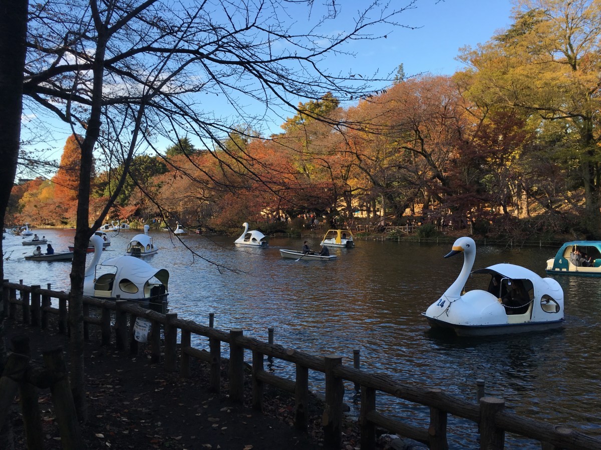 Gluten-Free Kichijoji (Tokyo)