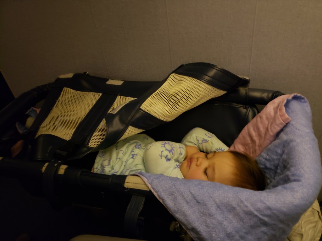 All Nippon Airlines Baby Bassinet